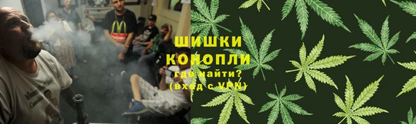 первитин Богданович