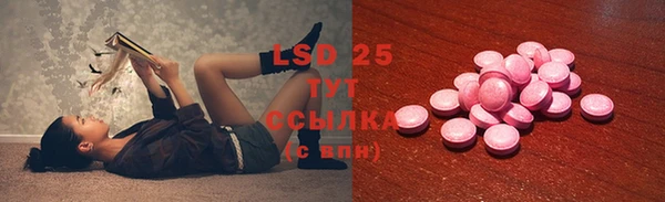 PSILOCYBIN Богородск