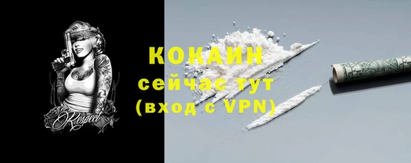 первитин Богданович