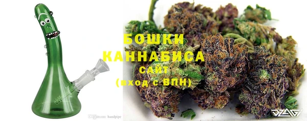 PSILOCYBIN Богородск